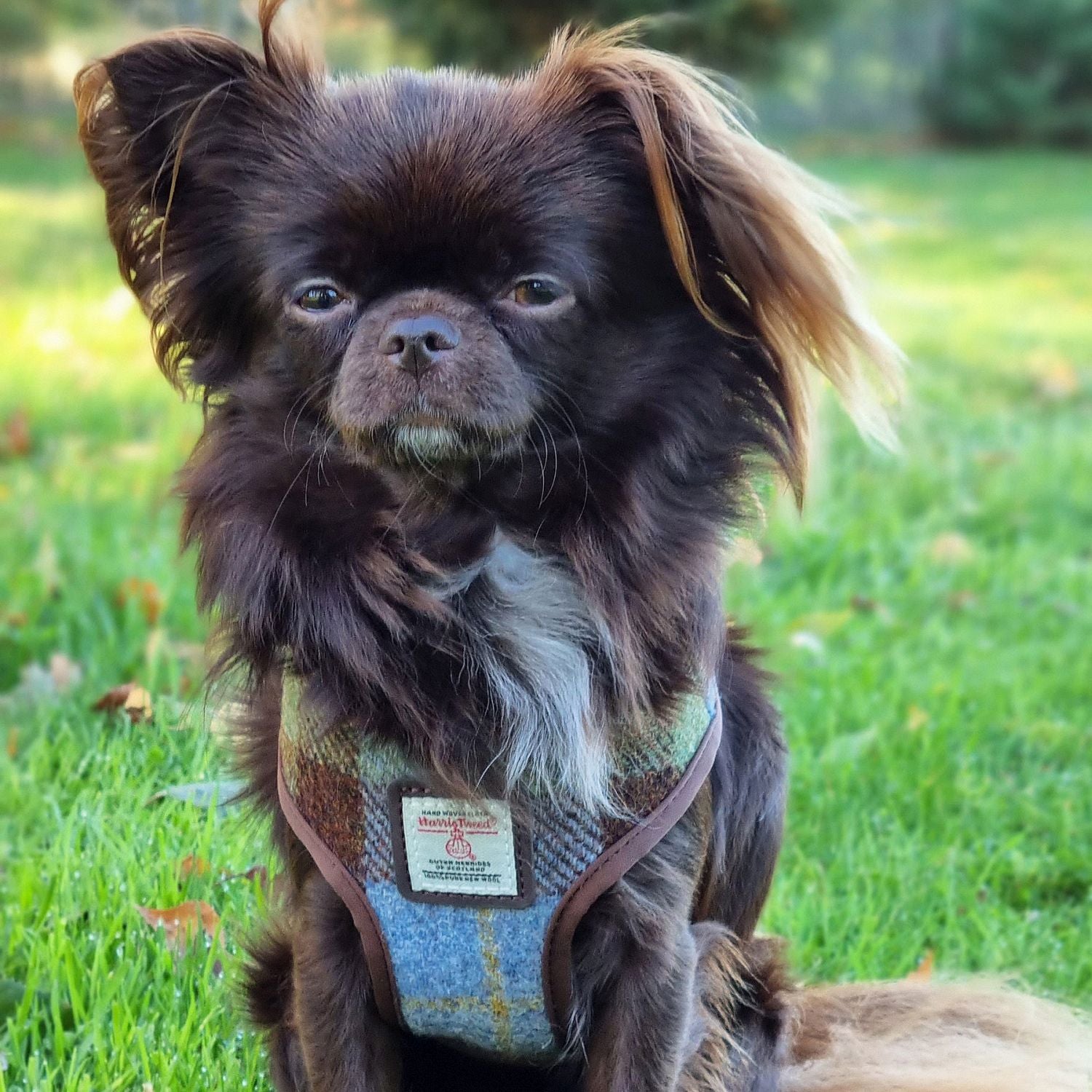 9d641bd4870f625eb6f7351fffd515cd