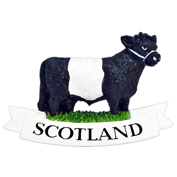 Scottish Polyresin Fridge Magnets – Fun Souvenirs with Iconic Designs - Belted Galloway