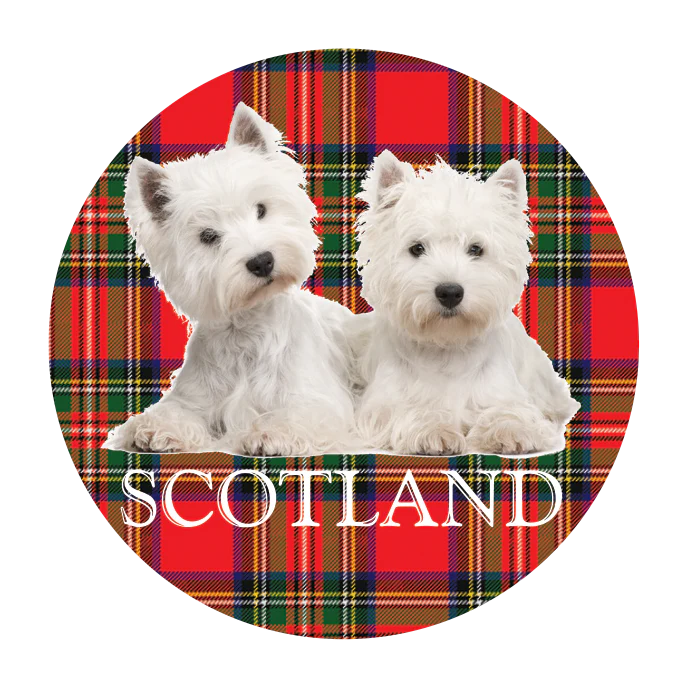 6c7d3a4213c4a0de850b73a5d6c565fb