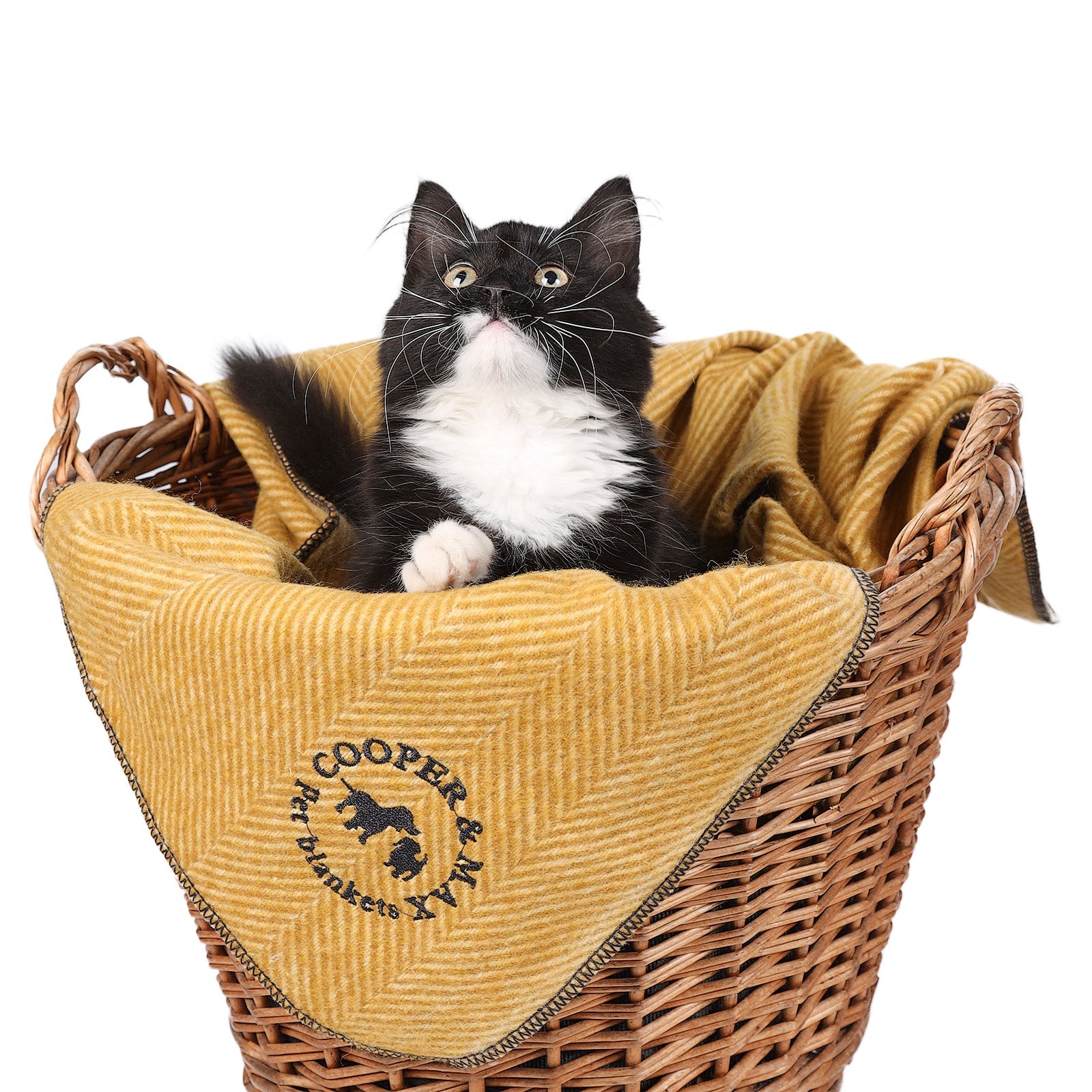 Recycled Wool Herringbone Pet Blanket – 150cm x 90cm - MUSTARD