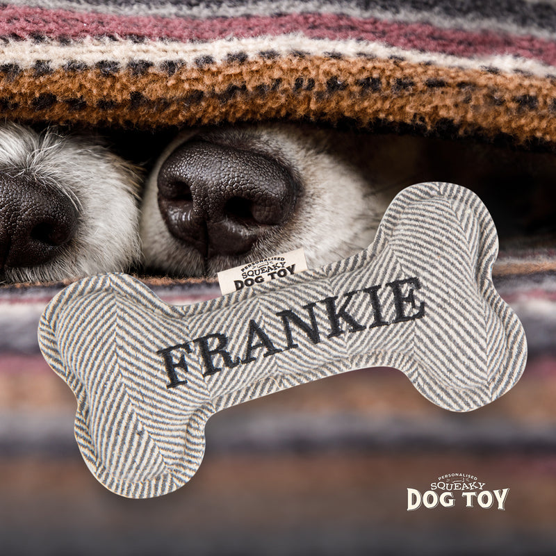 Squeaky Bone Dog Toy Frankie