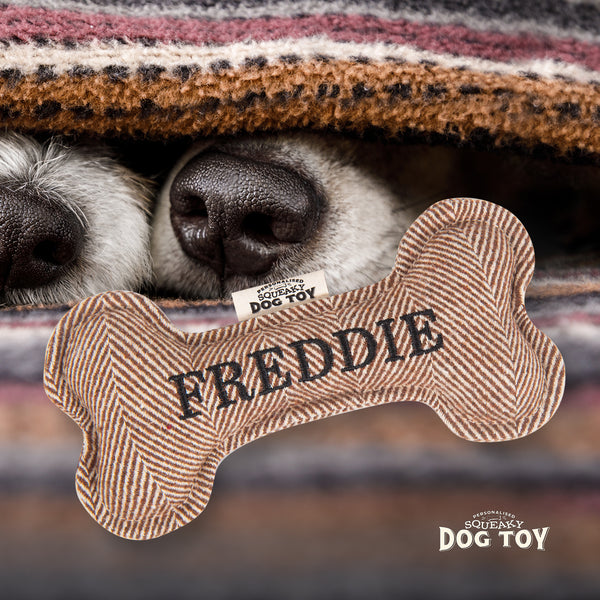 Squeaky Bone Dog Toy Freddie