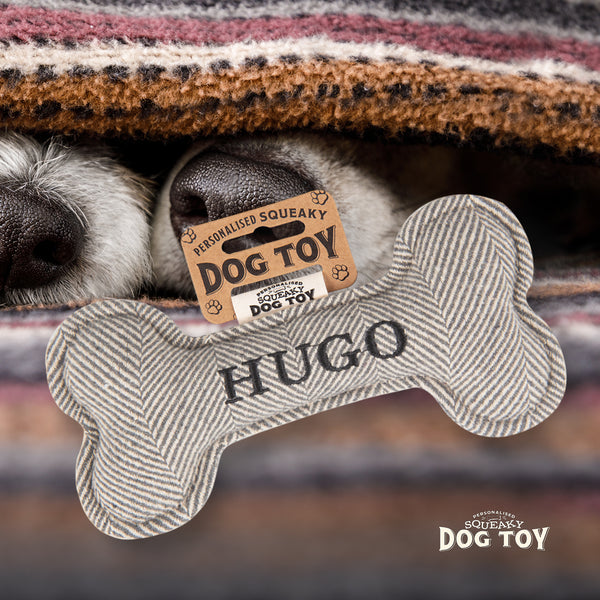 Squeaky Bone Dog Toy Hugo
