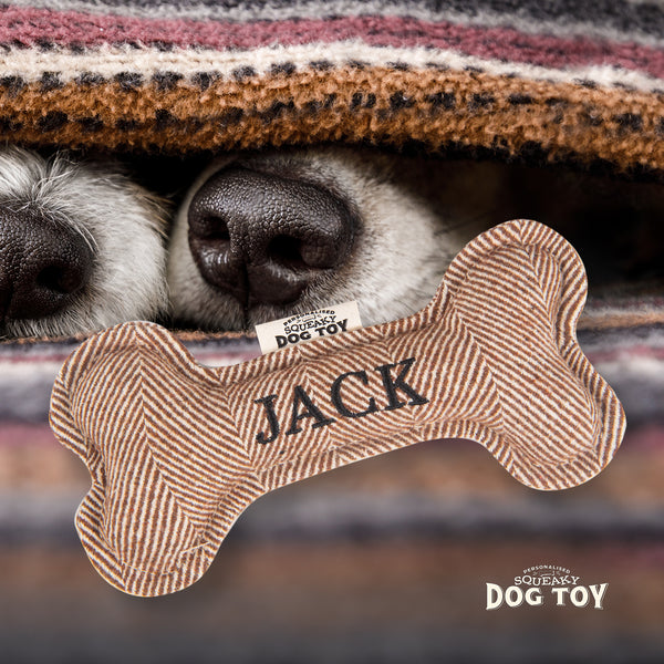 Squeaky Bone Dog Toy Jack