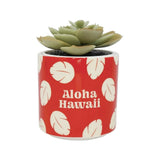 Plant Pot Faux Boxed (6.5Cm) - Disney Li