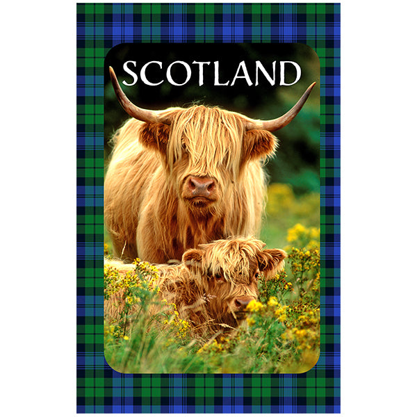 b6f33568a08793cf2c1b055386f7d7fc