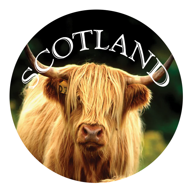 922187bf6a8bc45c6be36ce54bb835aa