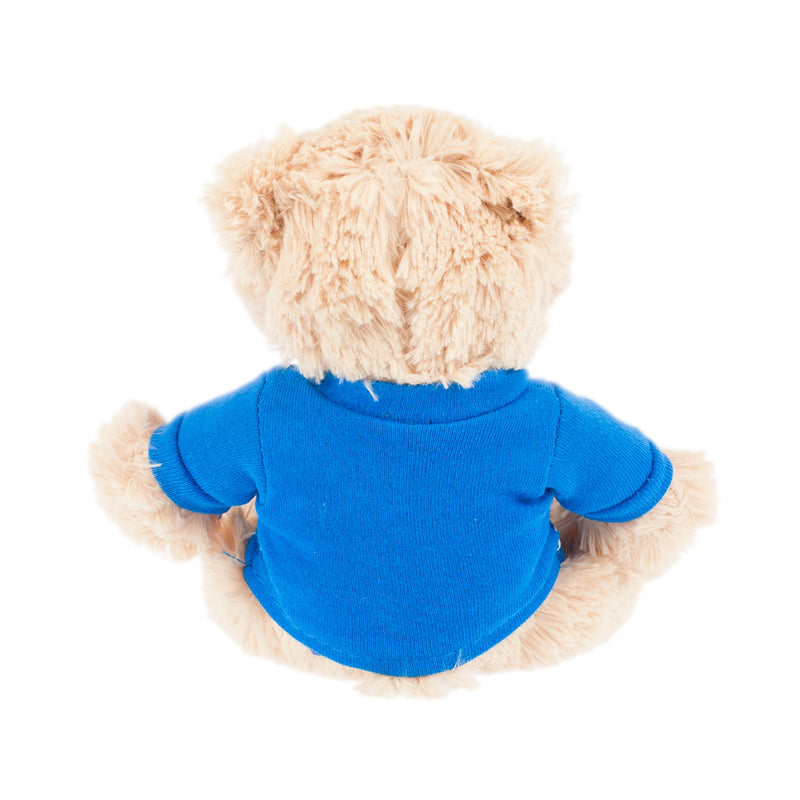 Teddy Bear With Saltire Sweater
