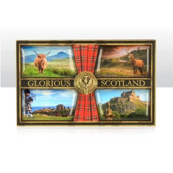 Glorious Scotland Wood Magnet
