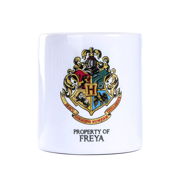 Harry Potter Money Box Freya