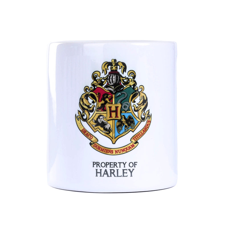 Harry Potter Money Box Harley