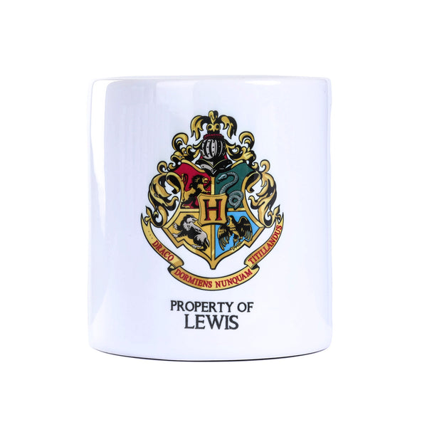 Harry Potter Money Box Lewis
