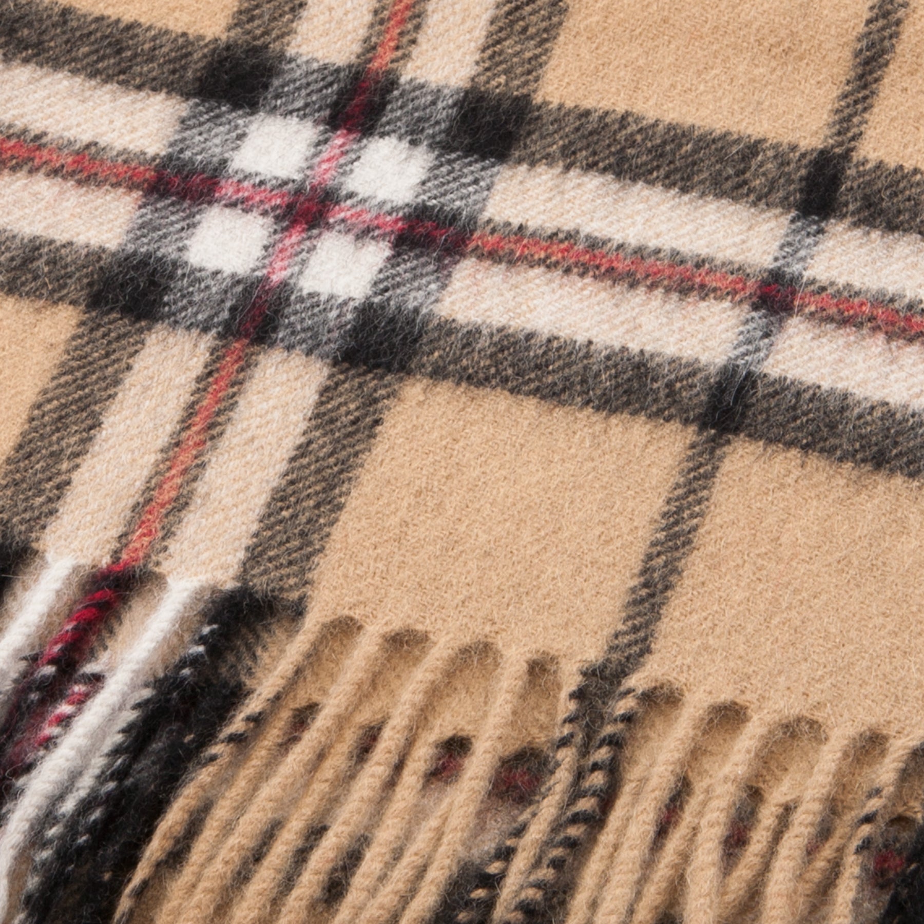 Edinburgh Cashmere Scarf Thomson Camel