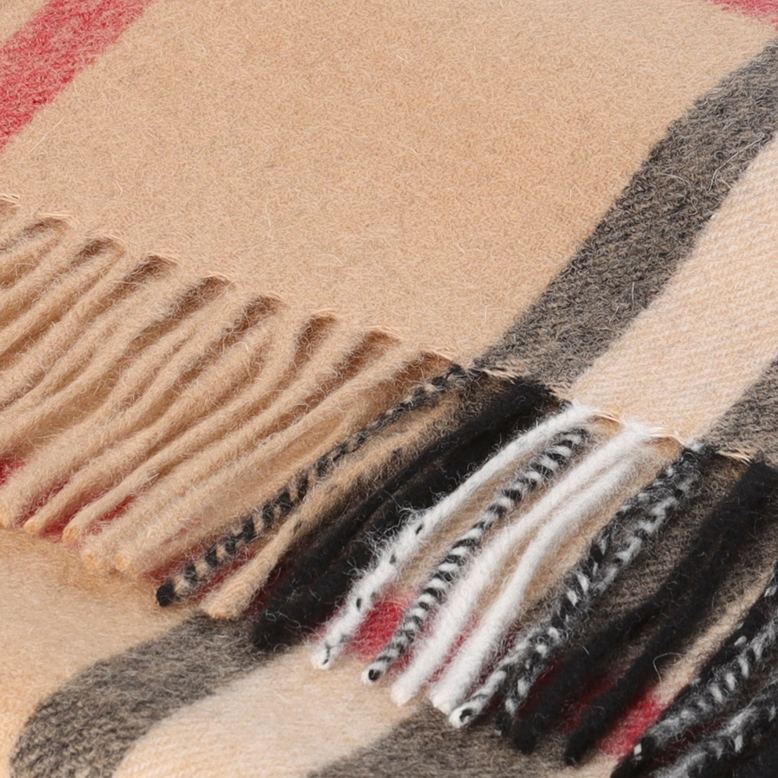 Hos 100% Lambswool Wide Scarf Enlarged Off Ctr Scotty Thom Camel