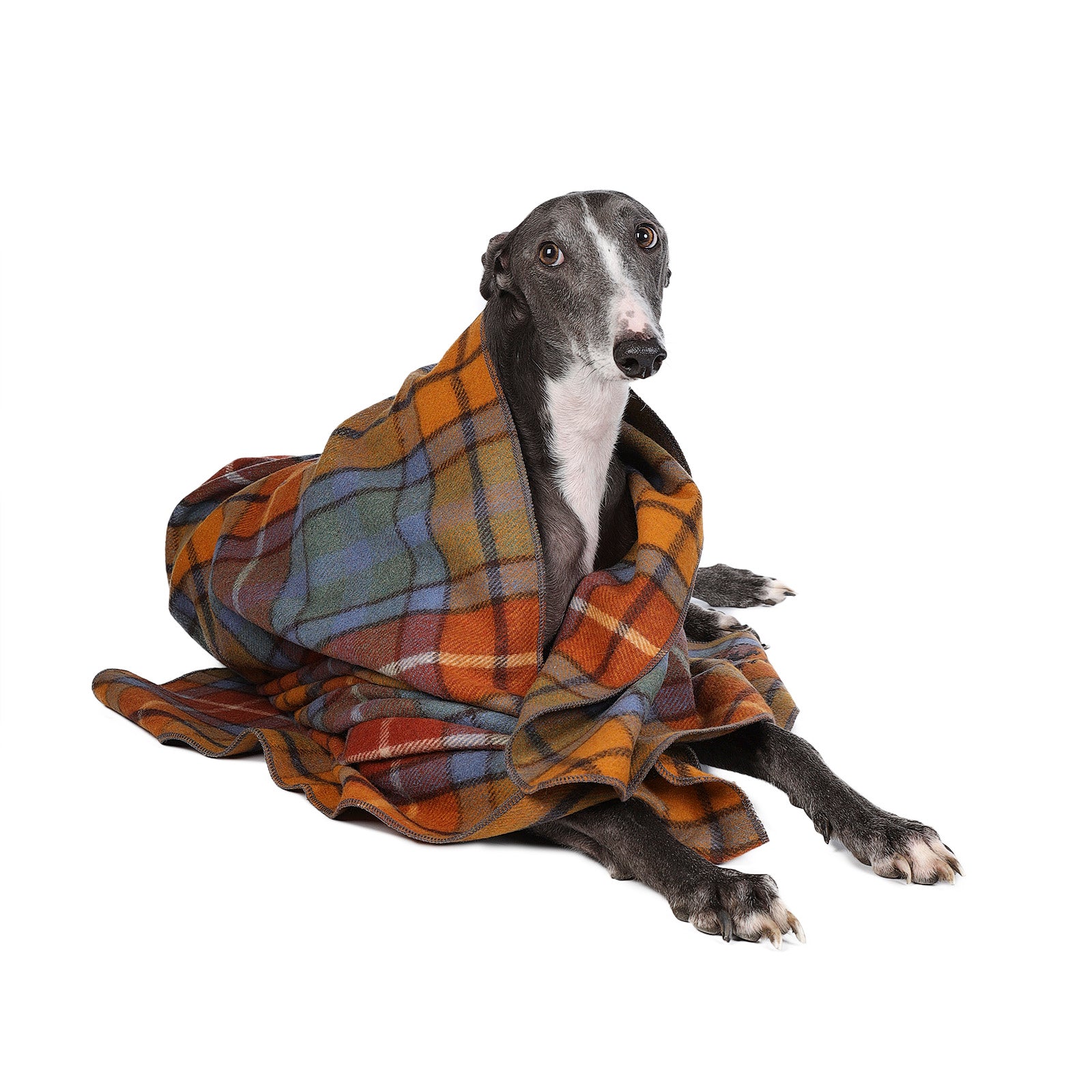 Tartan Pet Blanket Buchanan Antique