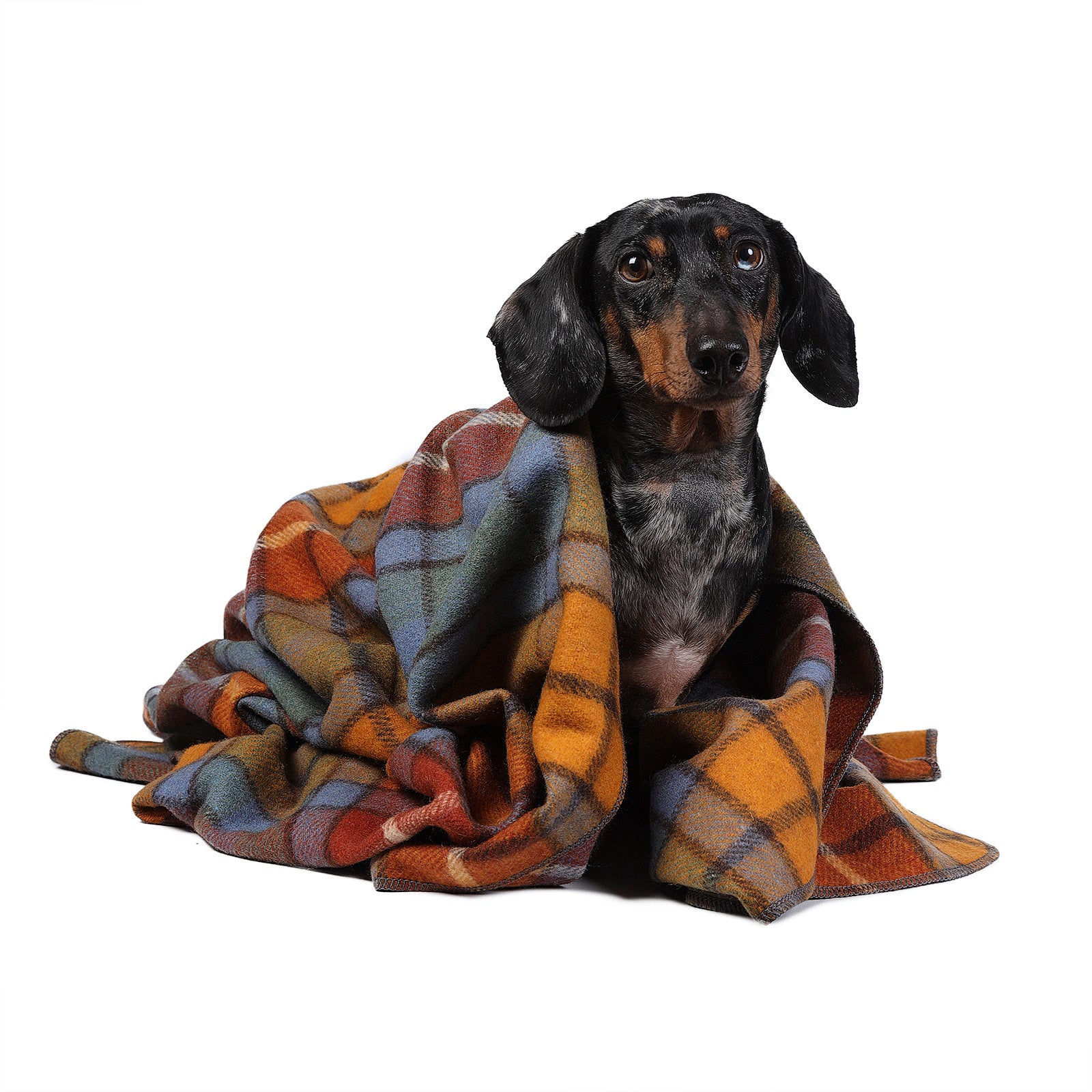 Tartan Pet Blanket Buchanan Antique