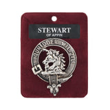 Art Pewter Clan Badge Stewart Of Appin