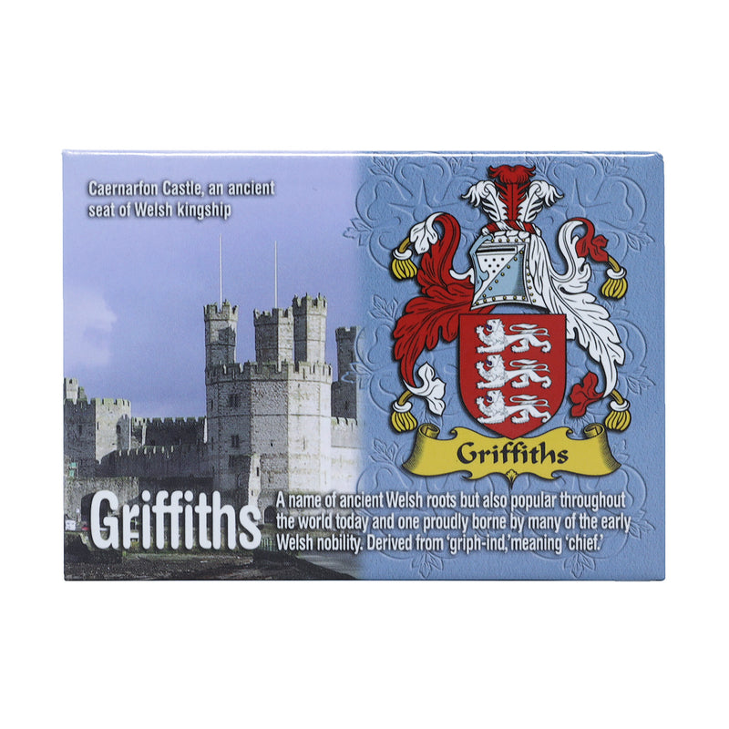 Scenic Metallic Magnet Wales Ni Eng Griffiths