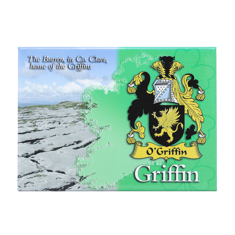 Scenic Metallic Magnet Ireland Griffin