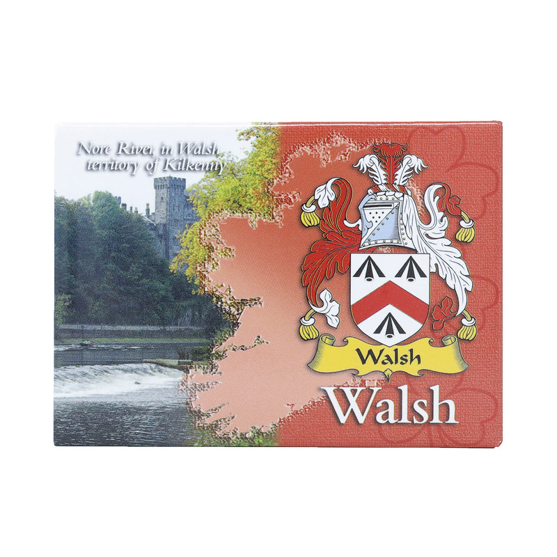 Scenic Metallic Magnet Ireland Walsh