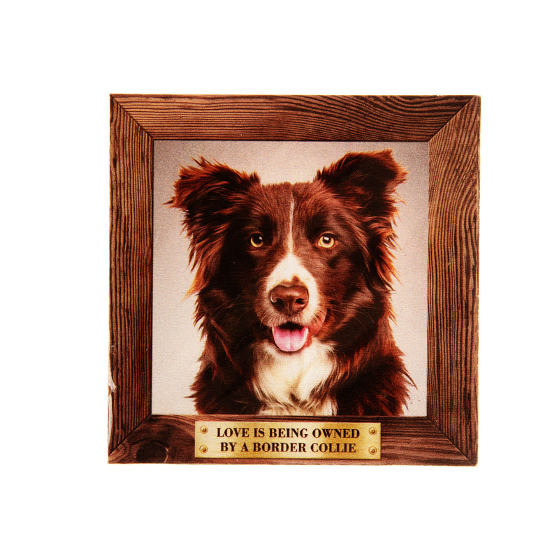 Pet Fridge Magnet Big Border Collie Brown