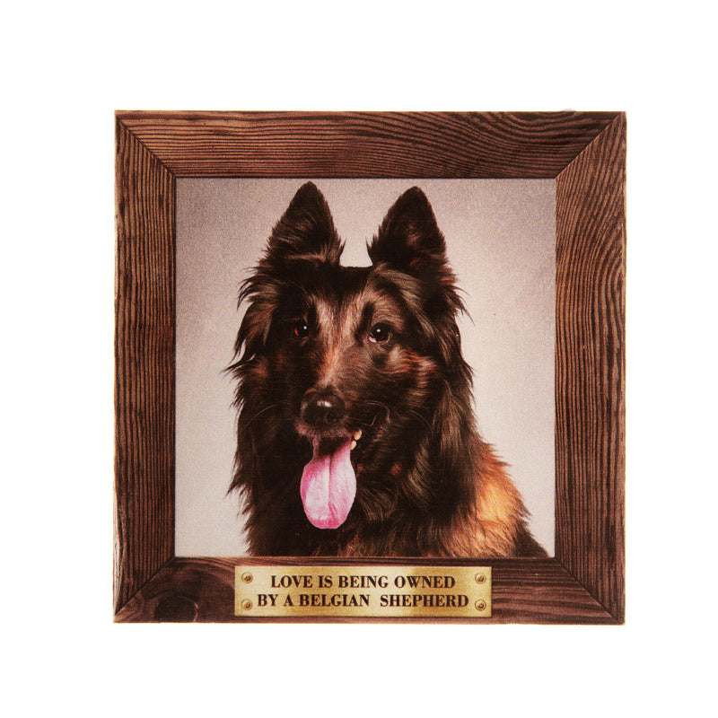 Pet Fridge Magnet Big Belgian Shepherd Longhair