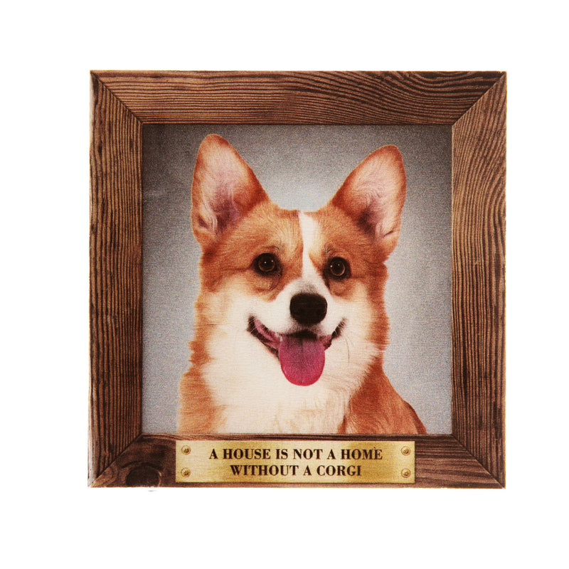 Pet Fridge Magnet Big Corgi