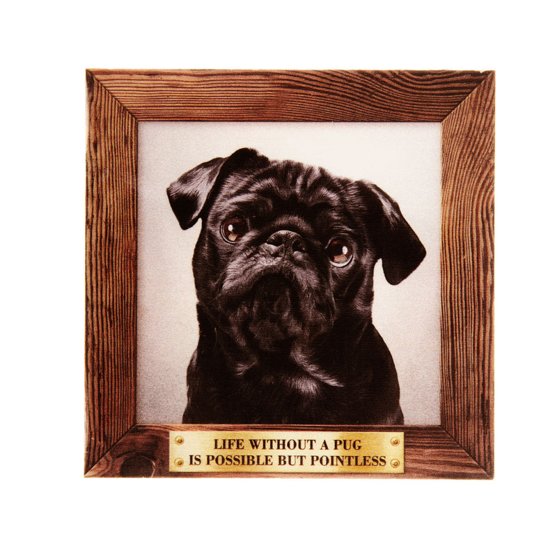 Pet Fridge Magnet Big Pug Black