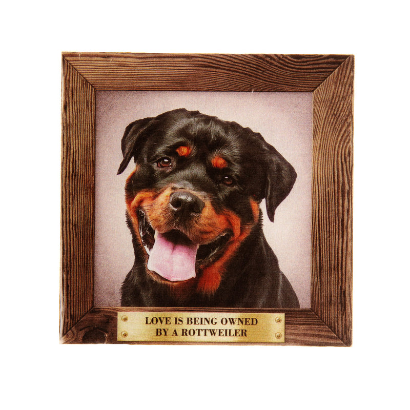 Pet Fridge Magnet Big Rottweiler