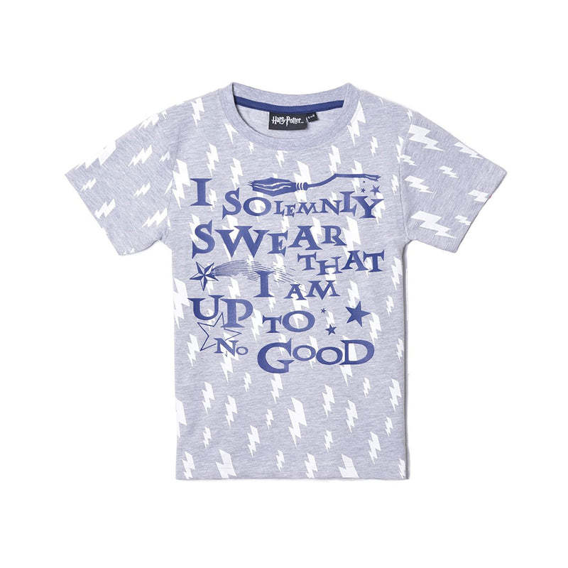 Harry Potter I Solemnly Swear Tee