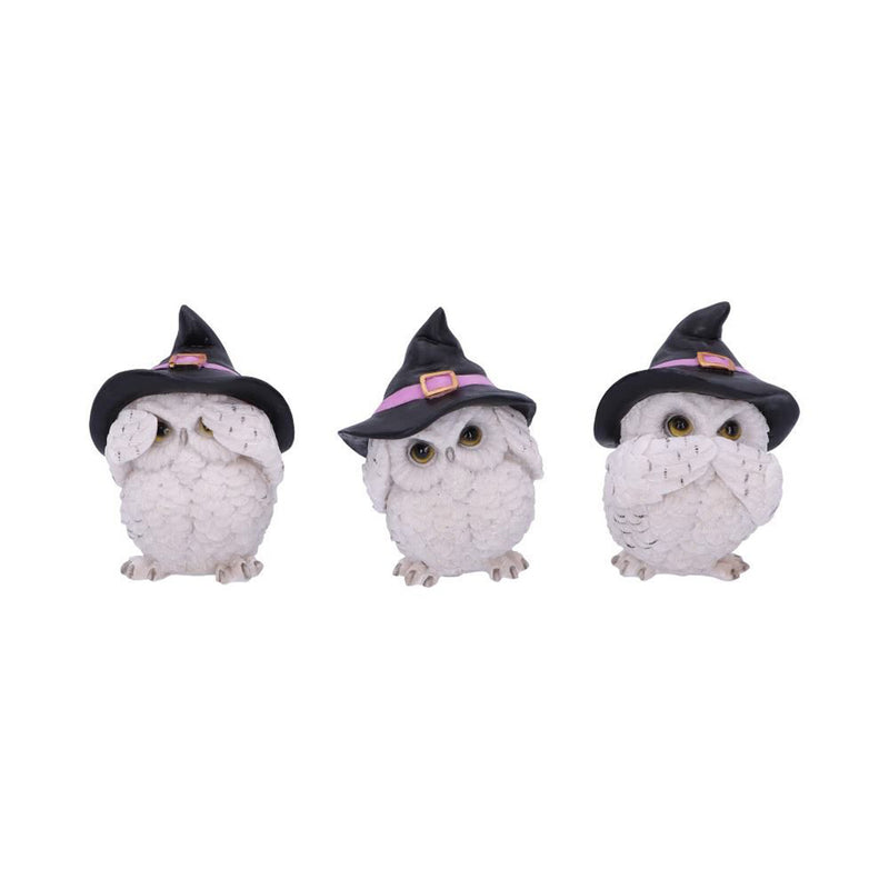 Three Wise Feathered Familiars 9Cm