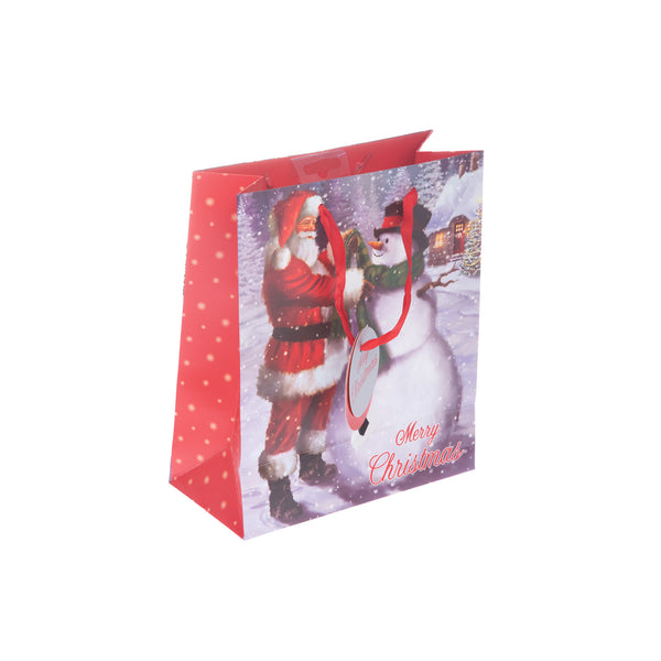 Santa Roof/Snowman Med Bag